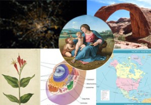 Collage of images representing botany, biology, art, maps, geology, space.