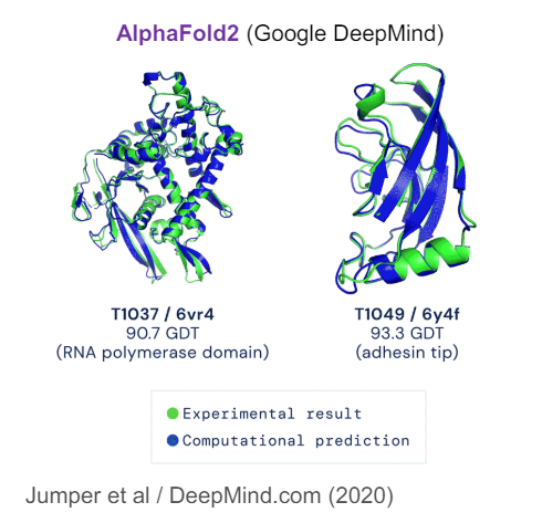 Example of protein folding using AlphaFold.